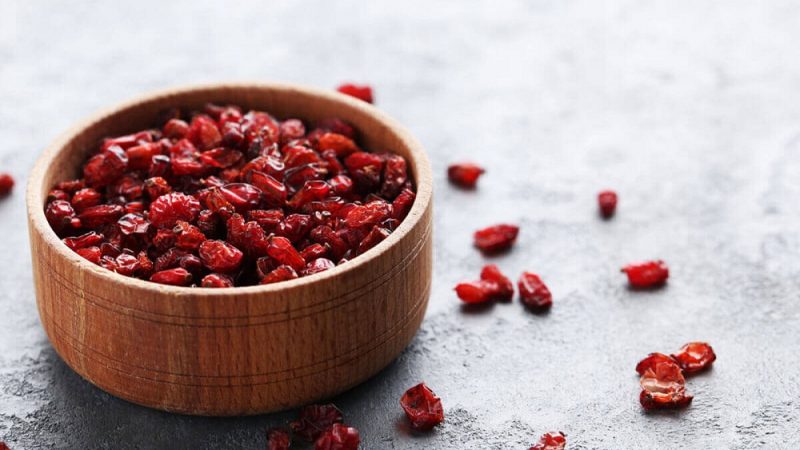Facts You Probably Didn’t Know About Barberries