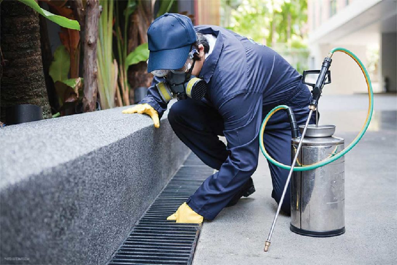 Top Tips to Hire the Best Pest Control company is Werribee