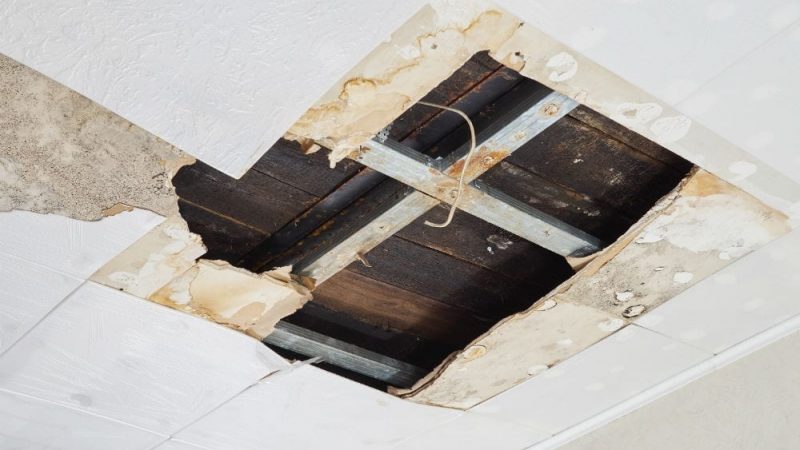 Water Damage Repair Service Does More Than Just Drying Out