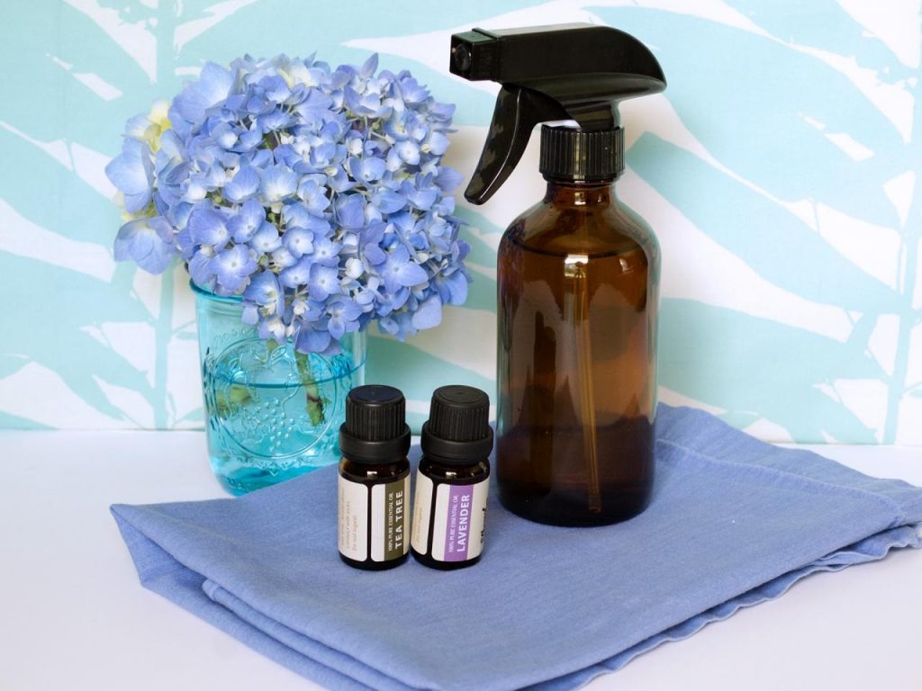 Four Genius Ways to Use Disinfectant Spray Around Your House