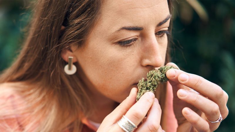Good & Bad Weed – Read What You Need To Know To Avoid Health Crises