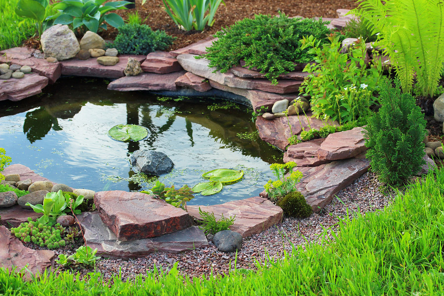 Different Aspects of Landscaping