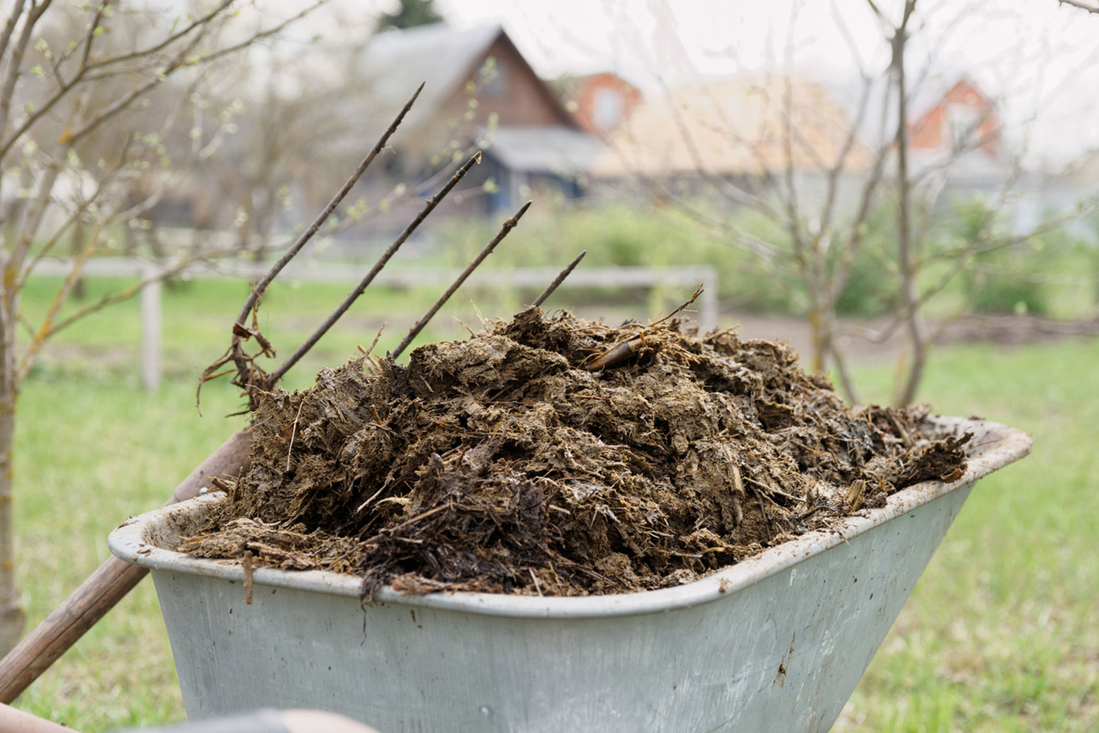How To Find The Best Manure For Gardening?