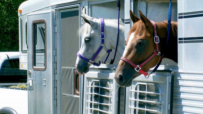 How to Avoid Roadside Emergencies When Repairing a Horse Trailer