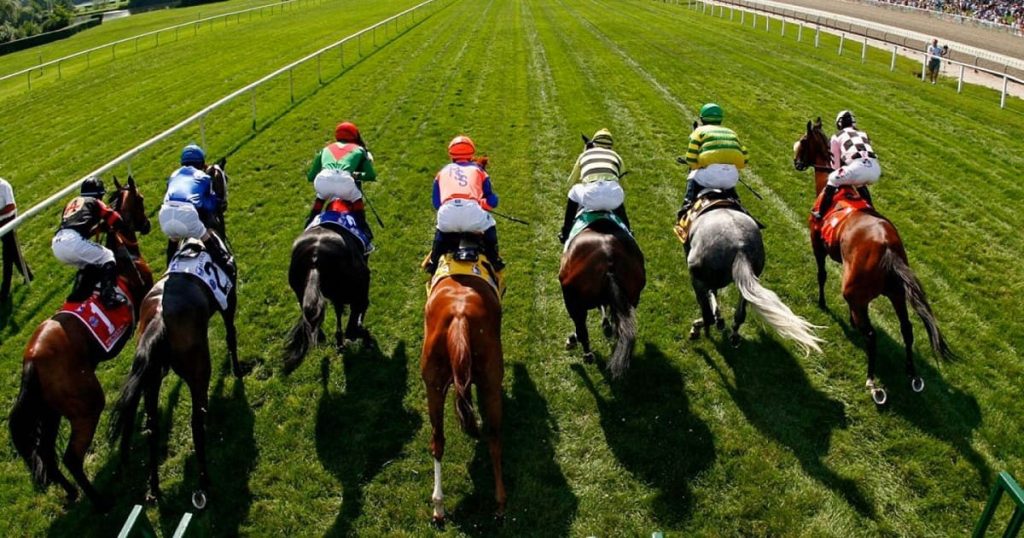 horse racing bets
