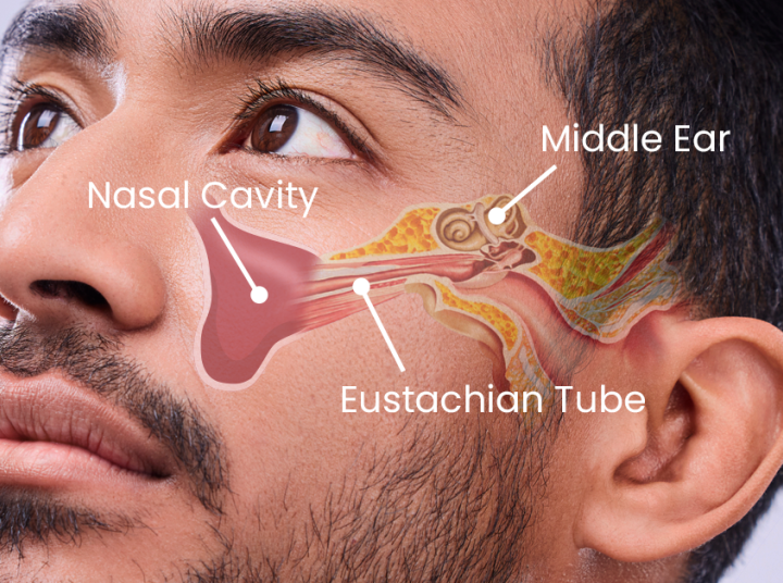 When Sinus Infections Cause Throbbing Ear Pain: What You Should Know