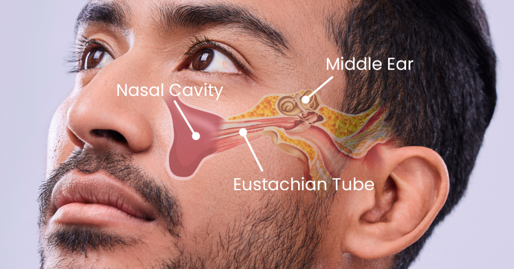 When Sinus Infections Cause Throbbing Ear Pain: What You Should Know