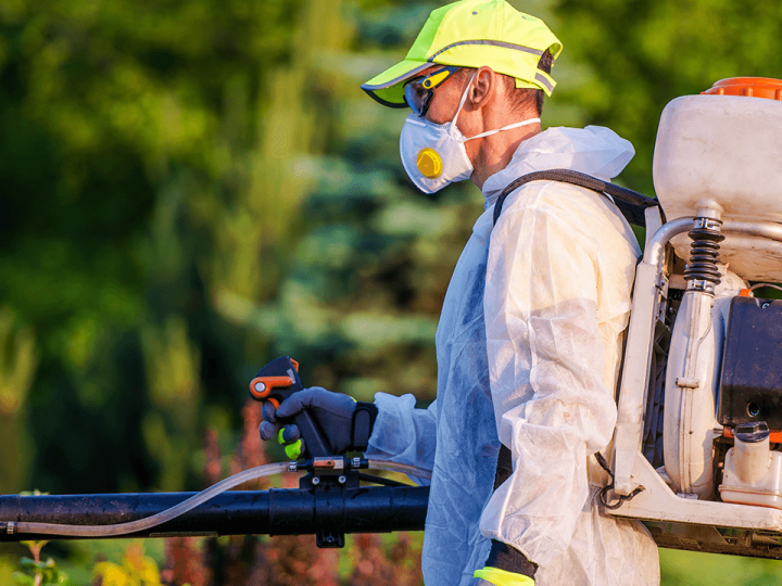Why Pest Control Experts in Kettering Are Key for Your Business