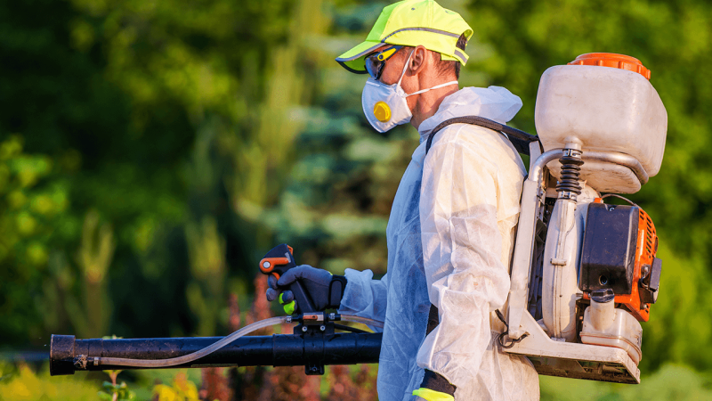 Why Pest Control Experts in Kettering Are Key for Your Business